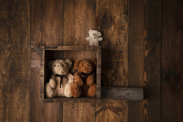 Urso em caixa de madeira - Foto, Imagem