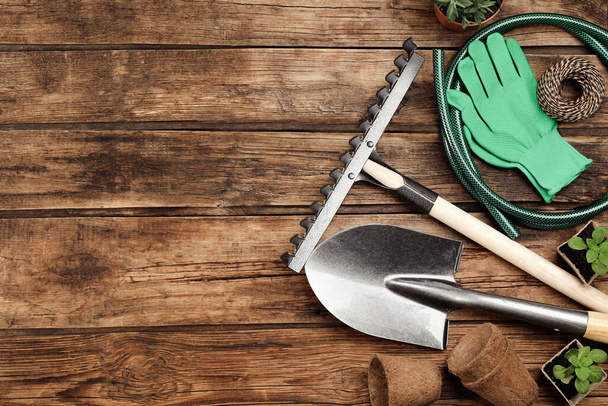 Flat lay composition with gardening tools and plants on wooden background. Space for text - 写真・画像