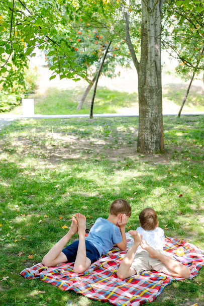 Két fiú fekszik egy takarón egy zöld parkban. A gyerekek egy könyvet olvasnak a földön, a parkban. Gyerekek piknikeznek nyáron, könyveket olvasnak. nyári szünet. Távolsági tanulás a természetben. - Fotó, kép