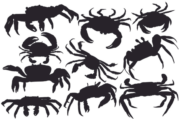 Silhouette vectorielle de crabe
 - Vecteur, image