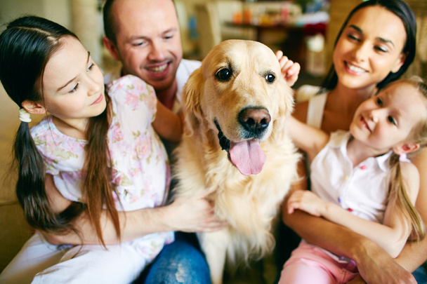 vierköpfige Familie knuddelt ihren Hund - Foto, Bild