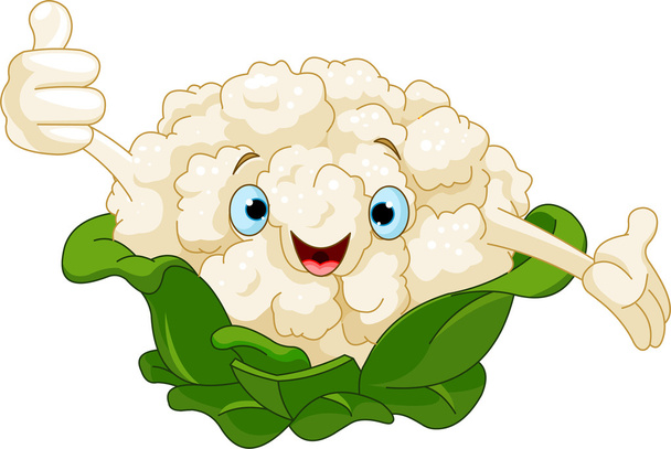 Cartoon cute Cauliflower presenting something - Вектор,изображение