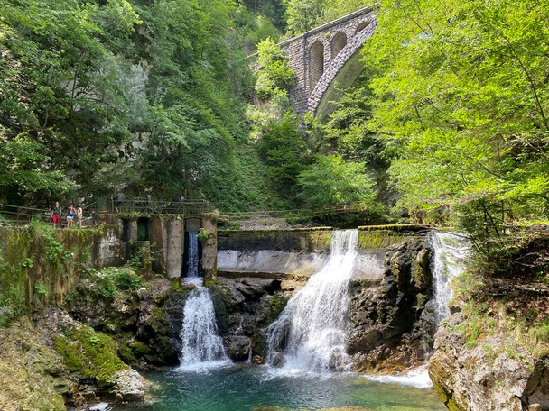 Sum Falls in the Vintgar Gorge or Bled Gorge - Bled, Slovenia (Triglav National Park) - Der Wasserfall Sum (Sumfall) am Ende der Vintgar-Klamm oder Vintgarklamm - Bled, Slowenien (Triglav-Nationalpark) / Slap - Φωτογραφία, εικόνα