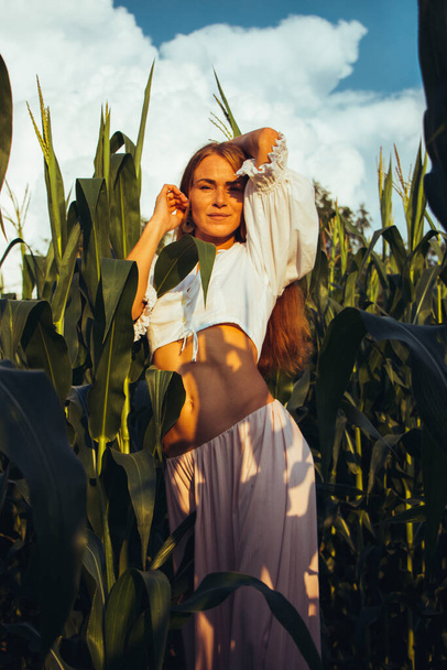 Young beautiful woman with long red hair between green leaves on a corn field in summer, in the light of the setting sun. - Foto, afbeelding