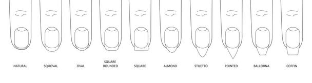 Manicura uñas de moda más populares formas planas estilo vector ilustración conjunto - Vector, Imagen