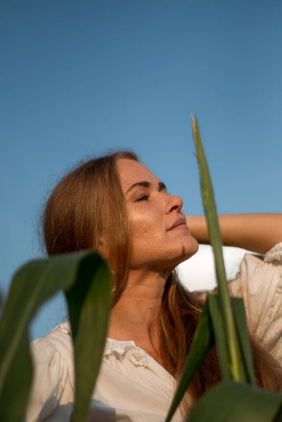 Jeune belle femme aux longs cheveux roux entre les feuilles vertes sur un champ de maïs en été, à la lumière du soleil couchant. - Photo, image