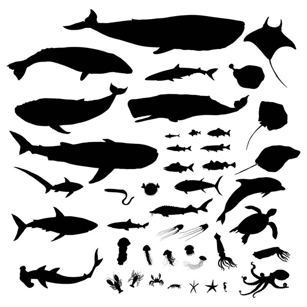 Vector Big Set of Sea Animals Силуэт иллюстраций - Вектор,изображение