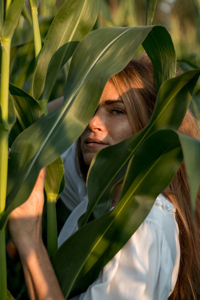Young beautiful woman with long red hair between green leaves on a corn field in summer, in the light of the setting sun. - Фото, изображение
