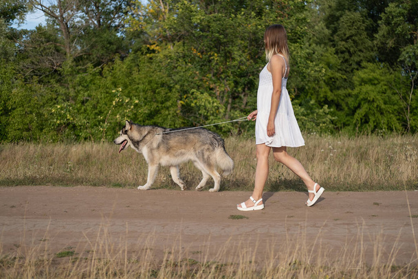  Frau läuft mit alaskan malamute Hund auf Landstraße - Foto, Bild