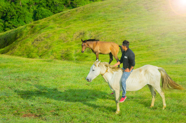 Młody człowiek na polu jazda konna, człowiek jazda konna na polu i wskazując, jazda na pięknym koniu w polu - Zdjęcie, obraz