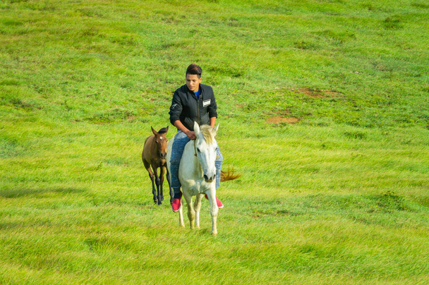 Joven en el campo montando a caballo, Un hombre montando a caballo en el campo y señalando, montando un hermoso caballo en el campo - Foto, Imagen
