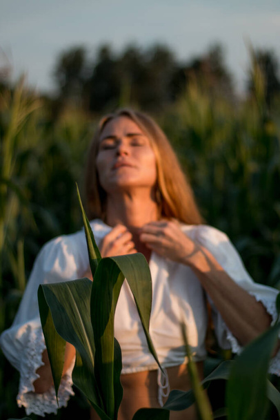 Young beautiful woman with long red hair between green leaves on a corn field in summer, in the light of the setting sun. - Fotó, kép