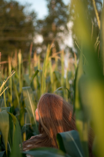 Young beautiful woman with long red hair between green leaves on a corn field in summer, in the light of the setting sun. - Photo, Image