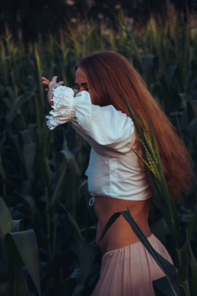 Young beautiful woman with long red hair between green leaves on a corn field in summer, in the light of the setting sun. - Фото, изображение