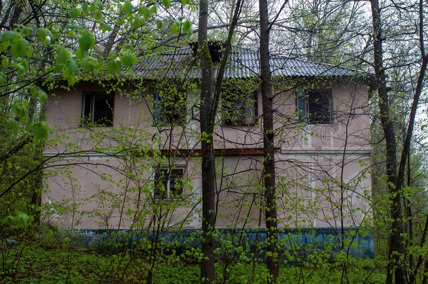 森の中の2階建ての家を春に放棄し - 写真・画像