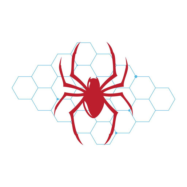 шаблон дизайна векторной иллюстрации иконки паука - Вектор,изображение