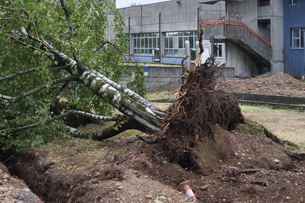 Storm in the province of Bergamo, extensive damage, fallen trees, roofs uncovered, and flooding - Zdjęcie, obraz