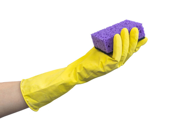 Mão na luva de borracha segurar esponja, conceito de limpeza de cozinha, isolado em uma foto de fundo branco - Foto, Imagem