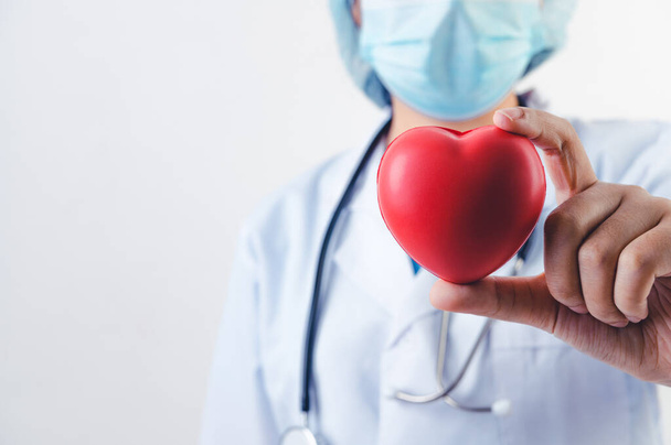 Zbliżenie czerwonego serca w ręce lekarza ze stetoskopem na białym tle. Medycy i kardiochirurdzy. Dawstwo serca i ratowanie życia opieki zdrowotnej tematu. - Zdjęcie, obraz