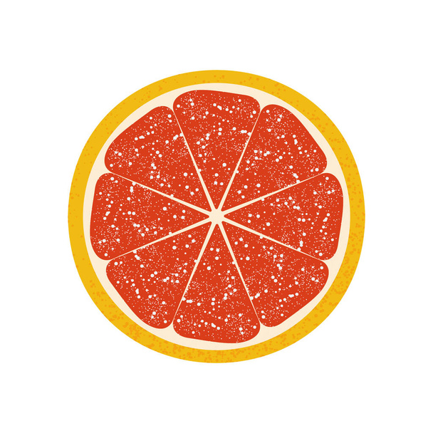 Sizilianische rote Orange oder Grapefruit isoliert auf weißem Hintergrund. Exotische Zitrusfrüchte aus biologischem Anbau. Druck für dekorative Kissen, Innenarchitektur, Küchentextilien, Saftverpackungen. Vektor. - Vektor, Bild