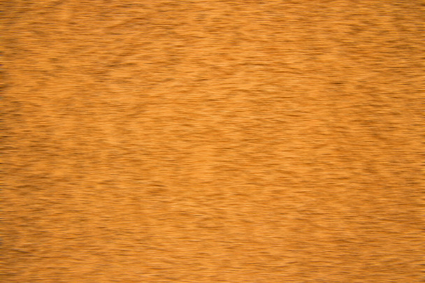 abstrato dourado superfície de fundo papel de parede difuso para algum mock up ou conceito de padrão com espaço de cópia vazio para o seu texto - Foto, Imagem