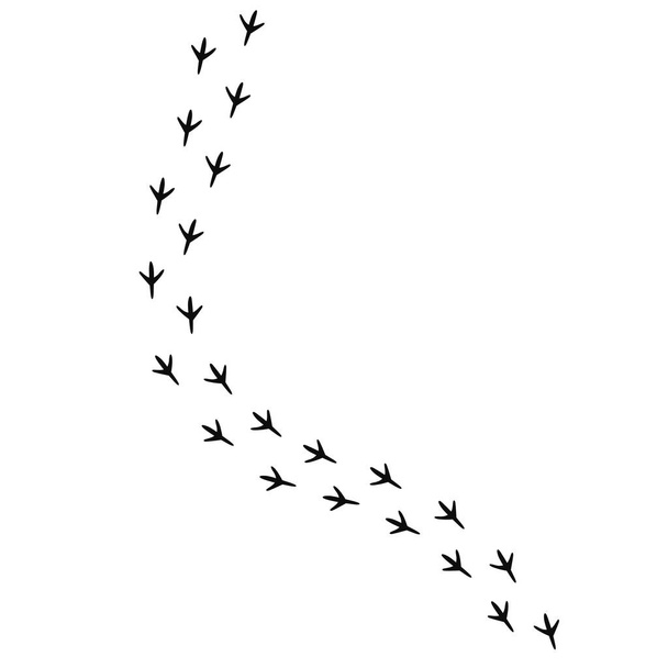 Linnut tassu tulostaa siluetti kävely polku päällä - Vektori korkealaatuinen kuva eristetty valkoisella taustalla - Vektori, kuva