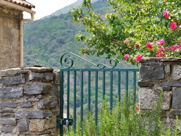 Vihreä portti avautuu ihanalle vihreälle rinteelle vaaleanpunaisilla kukilla. Laadukas kuva - Valokuva, kuva