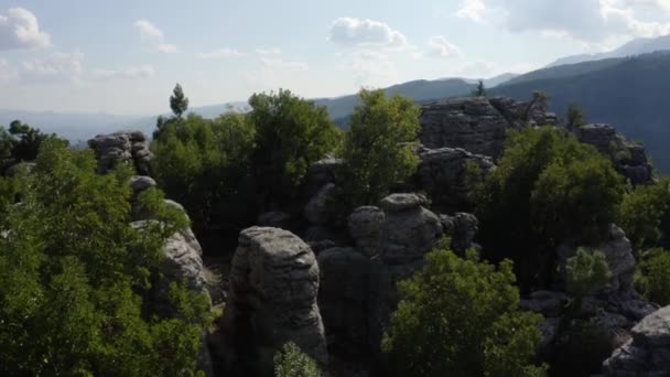 Top kilátás gyönyörű szürke szikla képződmények között zöld fák. - Felvétel, videó