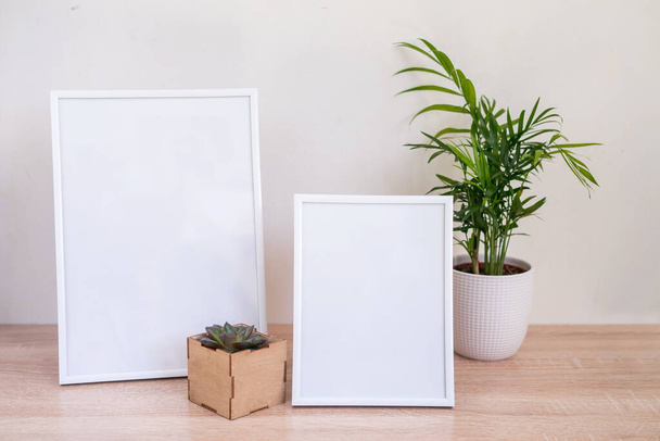 Portrait and square wooden picture frames mockups with palm and succulent.  - Foto, immagini