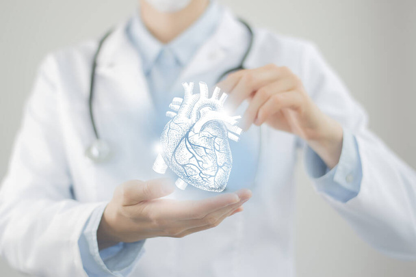 Female doctor holding virtual Heart in hand. Handrawn human organ, blurred figure,  raw photo colors. Healthcare hospital service concept stock photo - Фото, зображення