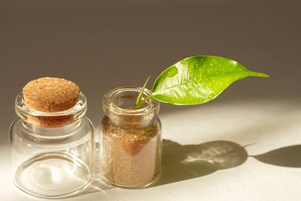 small glass jar with a cork and leaf on white background - Фото, зображення