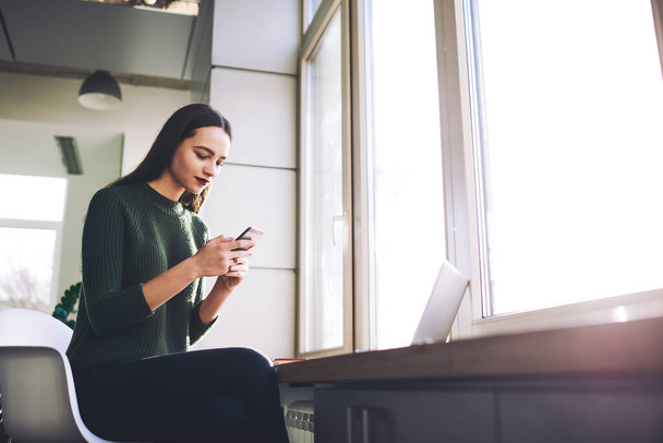 Low angle of young focused female in casual sweater sitting near window and holding mobile phone while text messaging in modern room - Photo, image