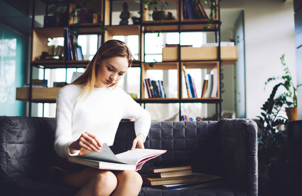 Serious young woman in white sweater and reading interesting literature while sitting alone in cozy sofa in library in daytime - Фото, зображення