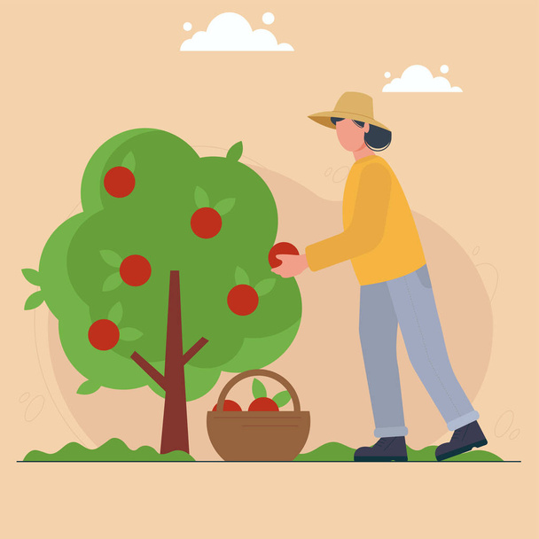 Woman picking up harvest from tree into basket. Girl farmer or gardener harvesting fruits. Agricultural worker in hat and boots. Garden, rural life, agriculture, orchard, cultivation. - Vector, Image