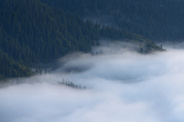 Nevoeiro nas montanhas
 - Foto, Imagem
