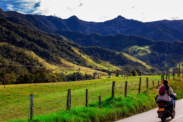 Kilátás a viaszpálmák és a gyönyörű hegyek Cocora Valley található Quindio régióban Kolumbia - Fotó, kép