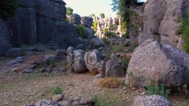 Park with beautiful rock formations and green coniferous trees on a summer day. - Footage, Video