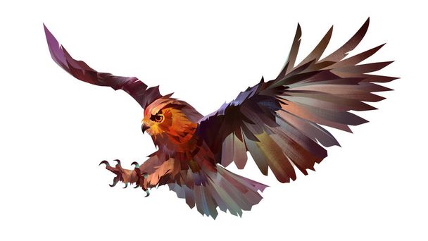 drawn bright bird of prey owl on white background - 写真・画像