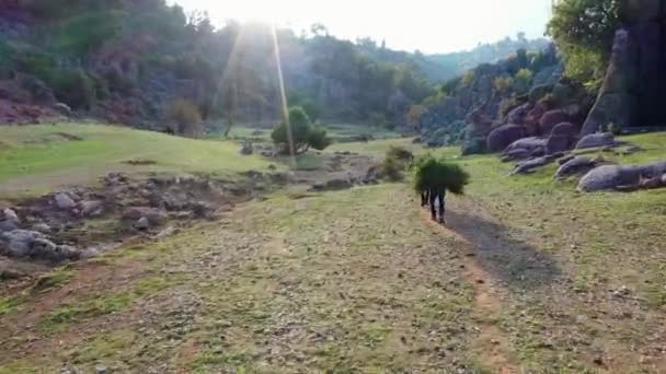 Vue arrière des agriculteurs transportant des branches à travers la vallée sur le fond de formations rocheuses. - Séquence, vidéo