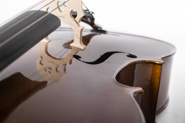violonchelo - Foto, Imagen