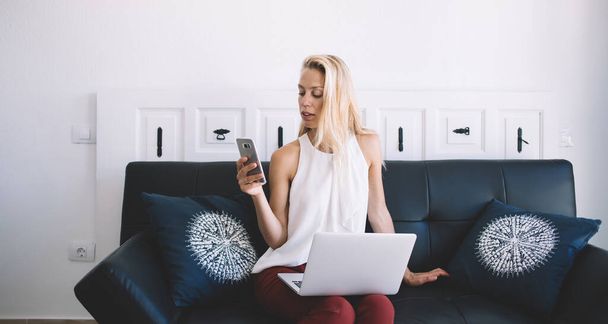 Millennial female freelancer checking received web information on smartphone gadget while doing distance job, skilled hipster girl sending sms via modern cellphone sitting at couch with laptop - Photo, image
