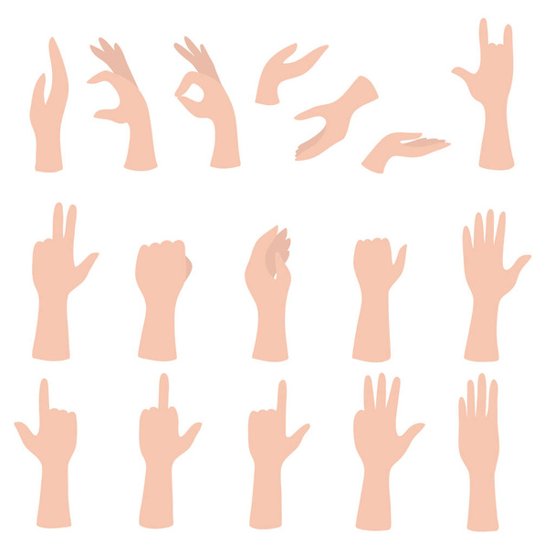 Conjunto de manos mostrando diferentes gestos. Palm señalando algo. Ilustración de vectores planos aislados - Vector, Imagen