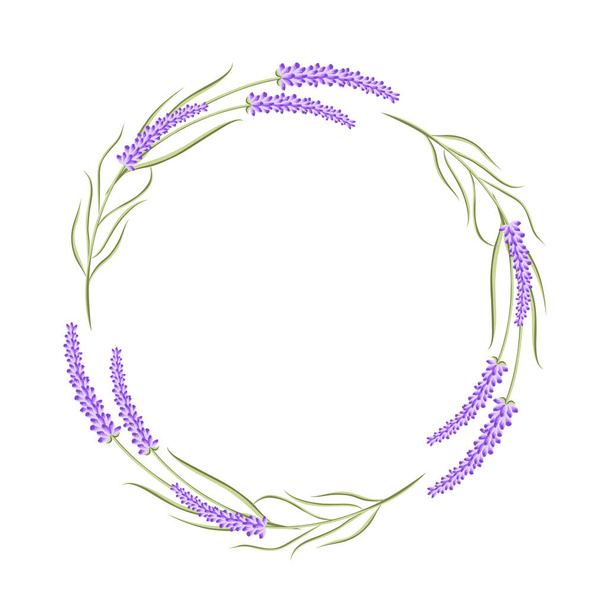 Round border frame with lavender flowers isolated on white for greeting card design, stock vector illustration - Vektor, obrázek