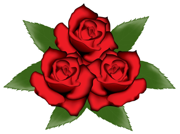 Rode rozen - Vector, afbeelding