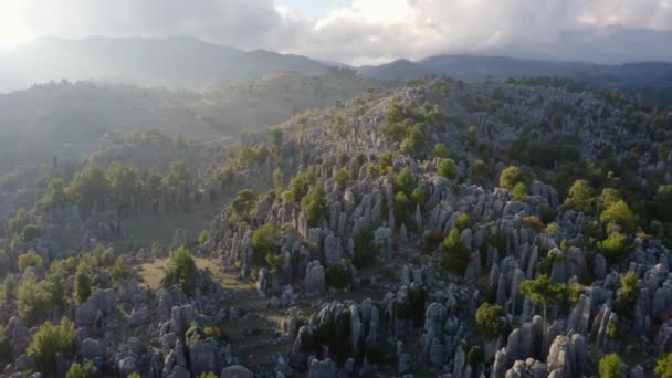 Gyönyörű légi kilátás szürke szikla képződmények és örökzöld fák hegyekben. - Felvétel, videó