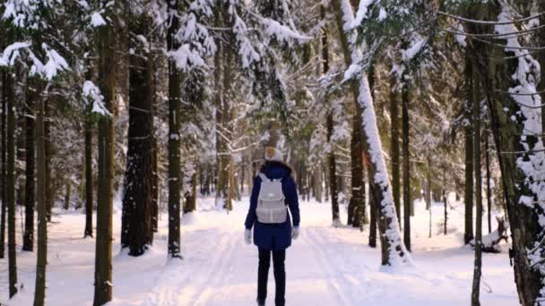 hembra en ropa de invierno y mochila caminando por la carretera rural rodeada de árboles forestales de coníferas - Metraje, vídeo