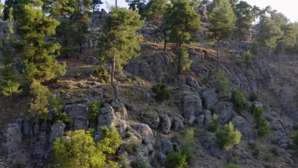 Letecký pohled na skalnatý kopec s věčně zelenými stromy za letního dne. - Záběry, video