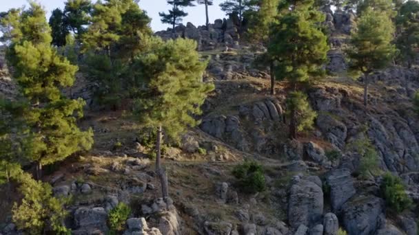 Skalní útvary krajina a věčně zelený středomořský les. Pohled z dronu. - Záběry, video