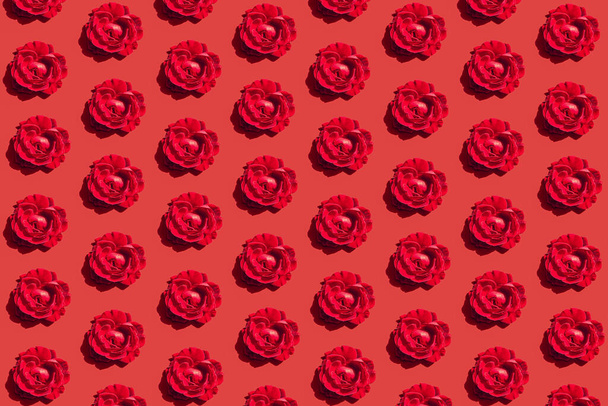 Parlak arkaplanda kırmızı gül tomurcuklarından oluşan yaratıcı desen. Asgari düzeyde. Doğa konsepti. Üst Manzara. Düz yatıyordu - Fotoğraf, Görsel