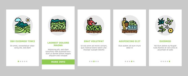 Tea Drink Production Onboarding Icons Set Vector - Vettoriali, immagini